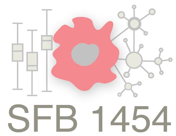 SFB 1454